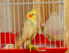 DSC_5364.png
