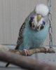 IMG_6398.JPG