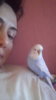 IMG-20a4f25ea16383e4db8c2b7f380d2bd3-V.jpg
