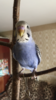 8C2E9C7E-DB7B-455F-AA98-B446A9ACCE4A.png