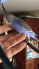 D128C20E-5087-4E23-9897-7EC43F7C485F.png