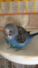 77C07313-1972-44BB-AA0C-A5AD6265F62A.png