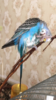 7061E2DF-EF4E-4C16-9512-3DAB8695837D.png
