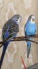 AB03DA32-AD01-4B50-AD4B-B0BBA76496C8.png