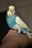DSC_0301-001.JPG