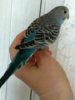 IMG_20180422_105646-001.JPG