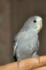 DSC_0286-001.JPG