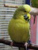IMG_6551.JPG