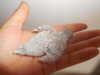 DSCN2760.JPG