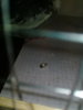 20180425_012220.jpg