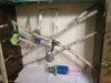 20180424_220659.jpg