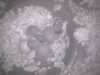 guvcview_image-6.jpg