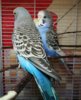 IMG_20180426_183647.jpg