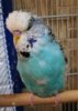IMG_20180426_193615.jpg