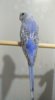 IMG_20180427_204606.jpg