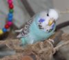 IMG_6922.JPG