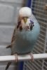 IMG_6835.JPG