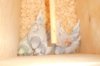 DSCN2819.JPG