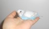 DSCN2810.JPG