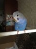 3CF1ED27-E4A1-488B-80F9-BD0616C4D9DB.jpeg