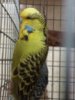20180504_083902.jpg