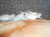 DSCN2844.JPG
