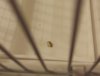 IMG_20180507_002727.jpg