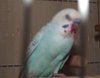 DSCF9027.JPG