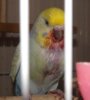 DSCF9028.JPG