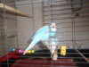 DSCN2853.JPG