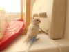 DSCN2856.JPG