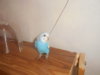DSCN2857.JPG