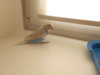 DSCN2858.JPG