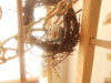 DSCN2859.JPG