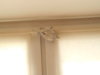 DSCN2860.JPG