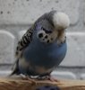IMG_7525.JPG
