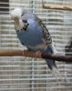 IMG_7374.JPG