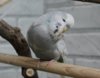 IMG_7515.JPG