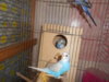 DSCN2868.JPG