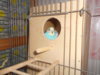 DSCN2872.JPG