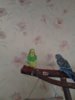 IMG_20180512_094957.jpg
