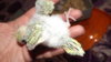 DSCF9193.JPG