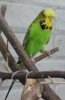 IMG_7298.JPG