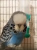 20180512_234449.jpg