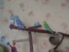 IMG_20180516_153613.jpg