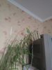 IMG_20180516_153534.jpg