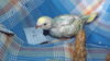 DSCF9376.JPG