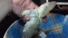 DSCF9391.JPG