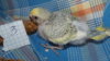 DSCF9397.JPG