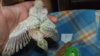 DSCF9424.JPG